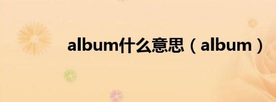 album什么意思（album）
