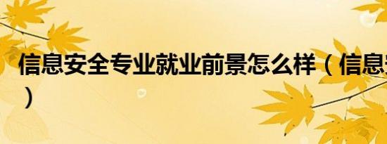 信息安全专业就业前景怎么样（信息安全专业）