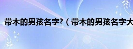 带木的男孩名字?（带木的男孩名字大全集）