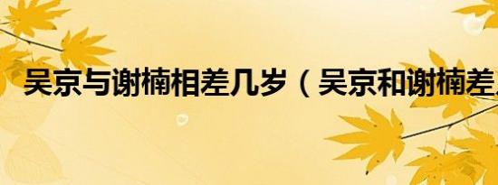 吴京与谢楠相差几岁（吴京和谢楠差几岁）