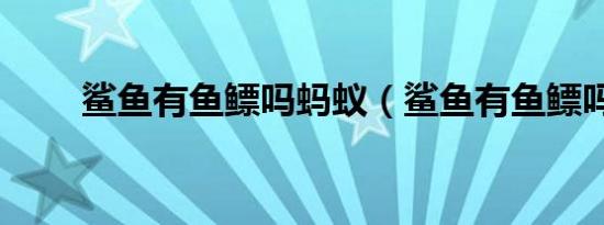 鲨鱼有鱼鳔吗蚂蚁（鲨鱼有鱼鳔吗）