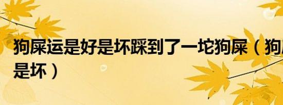 狗屎运是好是坏踩到了一坨狗屎（狗屎运是好是坏）