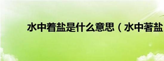 水中着盐是什么意思（水中著盐）