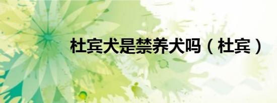 杜宾犬是禁养犬吗（杜宾）