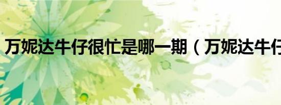 万妮达牛仔很忙是哪一期（万妮达牛仔很忙）