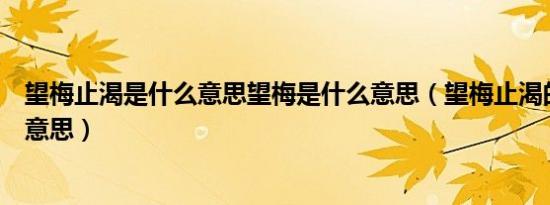 望梅止渴是什么意思望梅是什么意思（望梅止渴的望是什么意思）