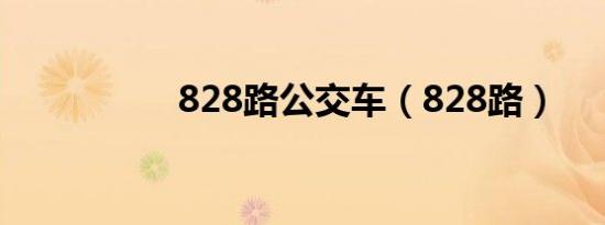 828路公交车（828路）