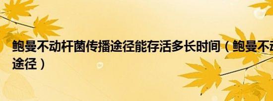 鲍曼不动杆菌传播途径能存活多长时间（鲍曼不动杆菌传播途径）