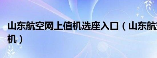 山东航空网上值机选座入口（山东航空网上值机）