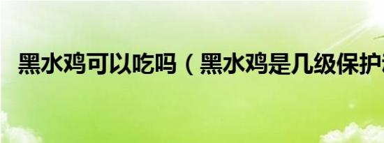 黑水鸡可以吃吗（黑水鸡是几级保护动物）