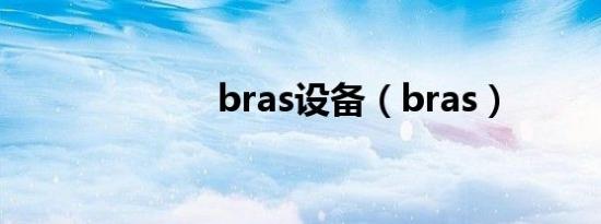 bras设备（bras）