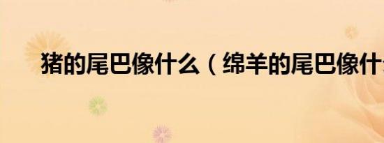 猪的尾巴像什么（绵羊的尾巴像什么）