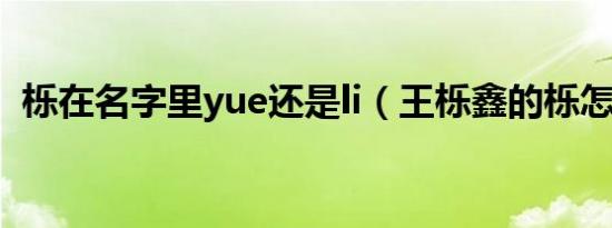 栎在名字里yue还是li（王栎鑫的栎怎么读）