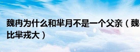 魏冉为什么和芈月不是一个父亲（魏冉为什么比芈戎大）