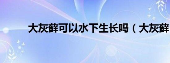 大灰藓可以水下生长吗（大灰藓）
