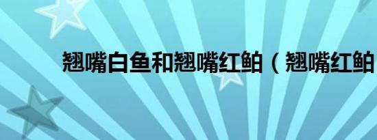 翘嘴白鱼和翘嘴红鲌（翘嘴红鲌）