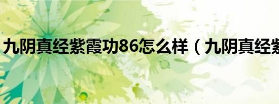 九阴真经紫霞功86怎么样（九阴真经紫霞功）