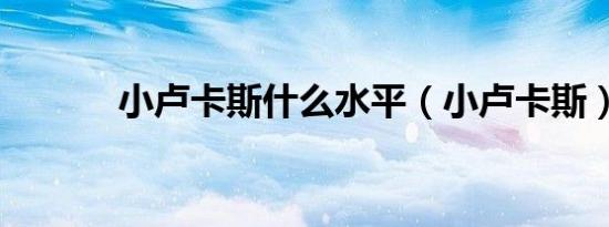 小卢卡斯什么水平（小卢卡斯）