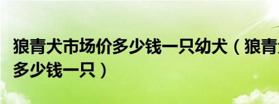狼青犬市场价多少钱一只幼犬（狼青犬市场价多少钱一只）