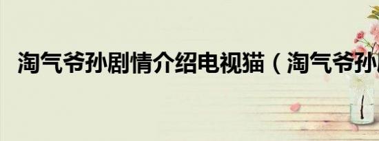 淘气爷孙剧情介绍电视猫（淘气爷孙剧情）