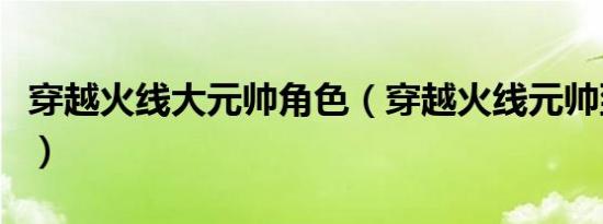 穿越火线大元帅角色（穿越火线元帅到大元首）