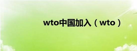 wto中国加入（wto）
