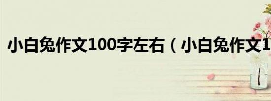 小白兔作文100字左右（小白兔作文100字）