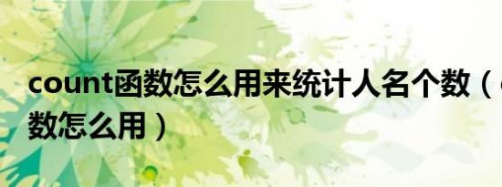 count函数怎么用来统计人名个数（count函数怎么用）