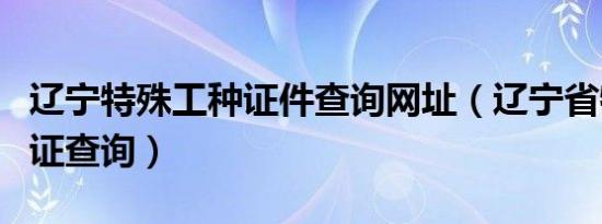 辽宁特殊工种证件查询网址（辽宁省特殊工种证查询）