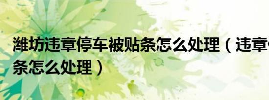 潍坊违章停车被贴条怎么处理（违章停车被贴条怎么处理）
