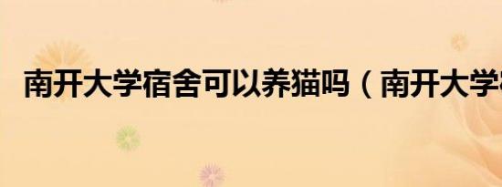 南开大学宿舍可以养猫吗（南开大学宿舍）