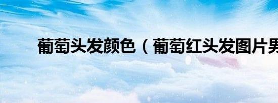 葡萄头发颜色（葡萄红头发图片男）