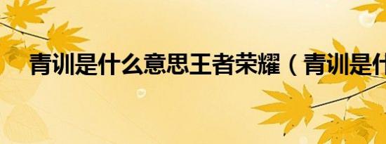 青训是什么意思王者荣耀（青训是什么）