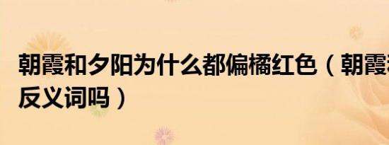 朝霞和夕阳为什么都偏橘红色（朝霞和夕阳是反义词吗）