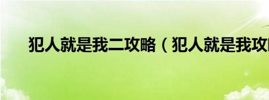 犯人就是我二攻略（犯人就是我攻略）
