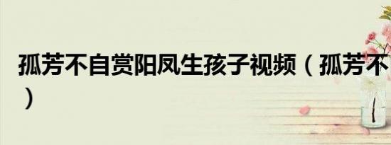 孤芳不自赏阳凤生孩子视频（孤芳不自赏阳凤）
