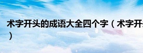 术字开头的成语大全四个字（术字开头的成语）