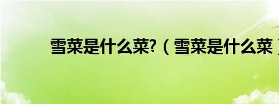 雪菜是什么菜?（雪菜是什么菜）