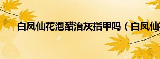 白凤仙花泡醋治灰指甲吗（白凤仙花）