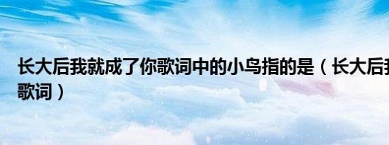 长大后我就成了你歌词中的小鸟指的是（长大后我就成了你歌词）
