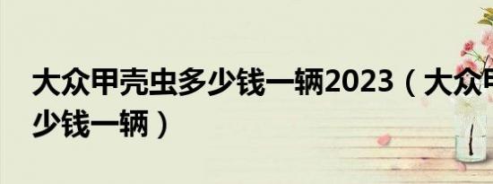 大众甲壳虫多少钱一辆2023（大众甲壳虫多少钱一辆）