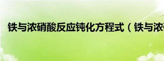 铁与浓硝酸反应钝化方程式（铁与浓硝酸）