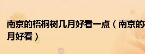南京的梧桐树几月好看一点（南京的梧桐树几月好看）