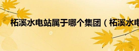 柘溪水电站属于哪个集团（柘溪水电站）