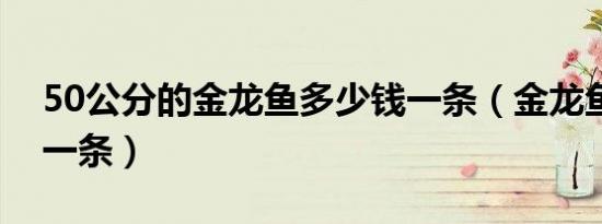 50公分的金龙鱼多少钱一条（金龙鱼多少钱一条）