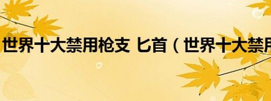 世界十大禁用枪支 匕首（世界十大禁用枪支）