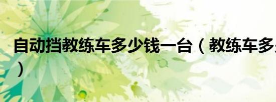 自动挡教练车多少钱一台（教练车多少钱一台）
