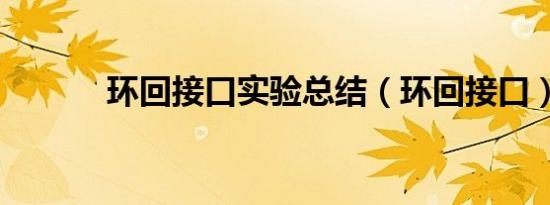 环回接口实验总结（环回接口）