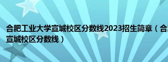 合肥工业大学宣城校区分数线2023招生简章（合肥工业大学宣城校区分数线）