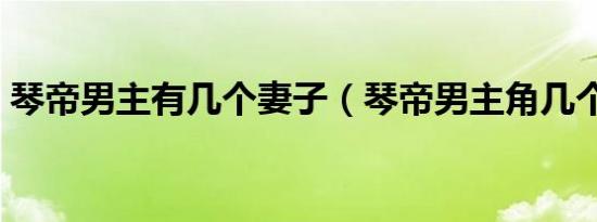 琴帝男主有几个妻子（琴帝男主角几个老婆）